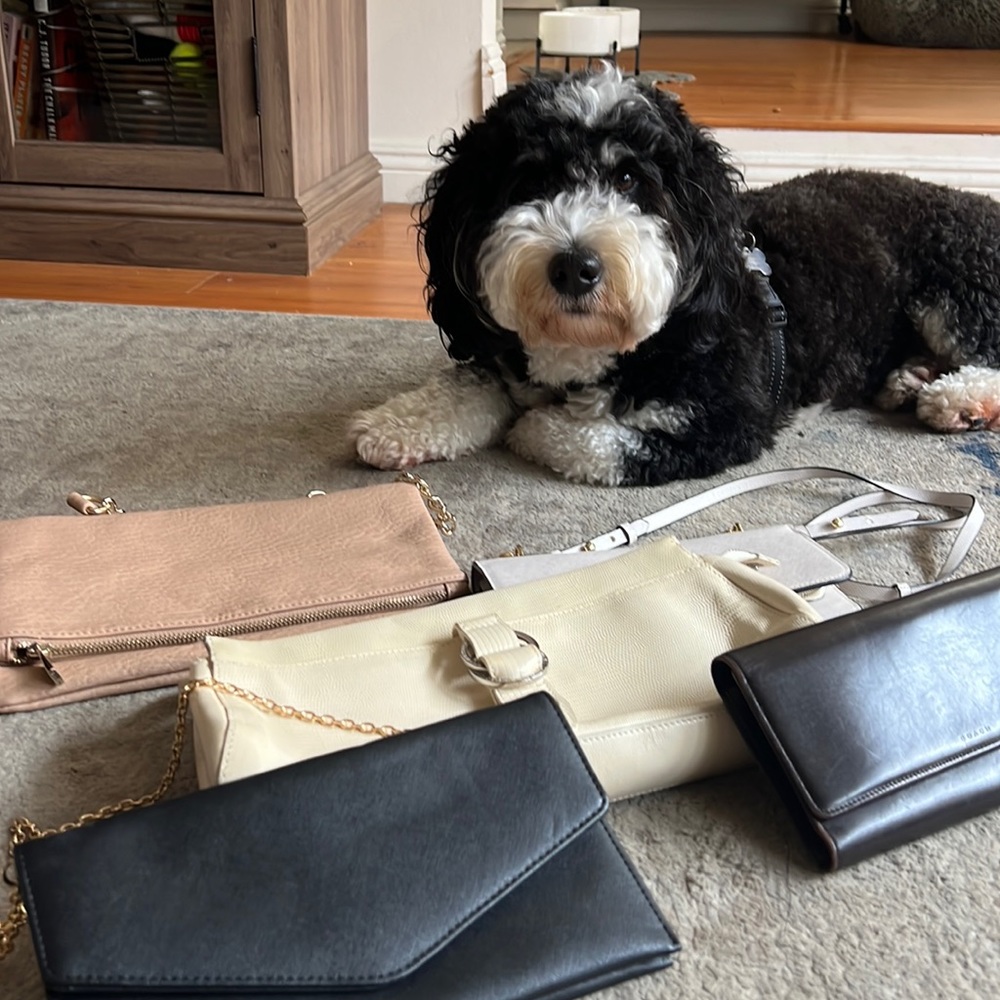 Assorted clutches